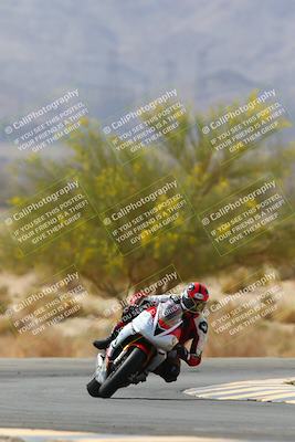 media/Apr-10-2022-SoCal Trackdays (Sun) [[f104b12566]]/Turn 5 Tree of Life (1040am)/